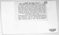 Image Associated With the Occurence